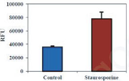 BBI細胞組學產品秋冬促銷火熱開啟，放開價勢無需再等